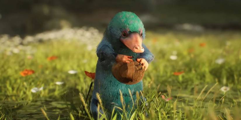 Niffler being brushed hogwarts legacy