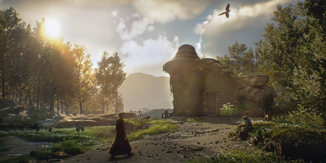 El jugador de Hogwarts Legacy muestra impresionante vivario de bosque.