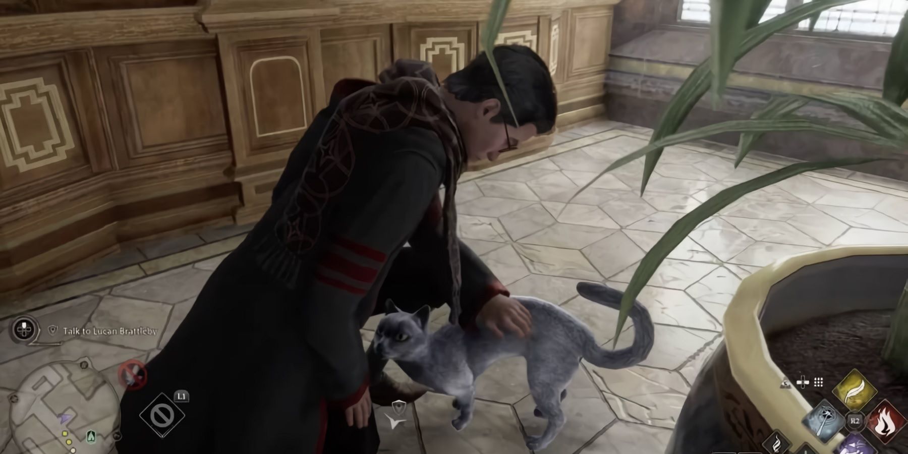 hogwarts legacy pet cat