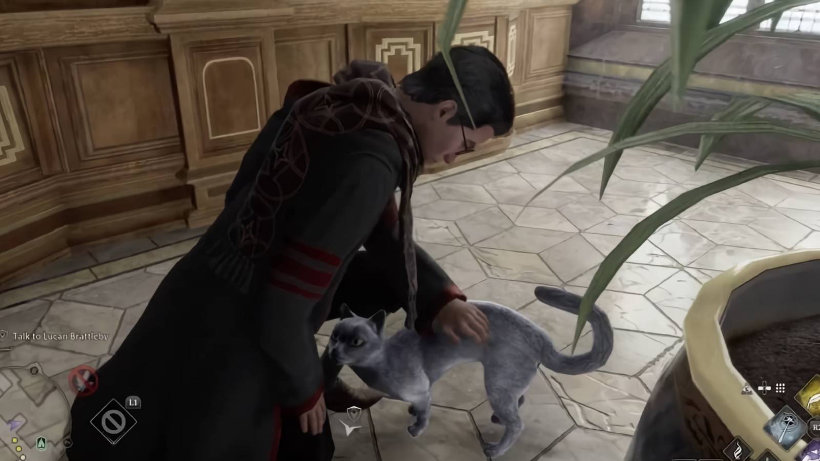 hogwarts legacy pet cat