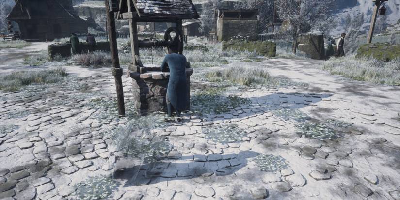 Hogwarts Legacy Stealth Disillusionment