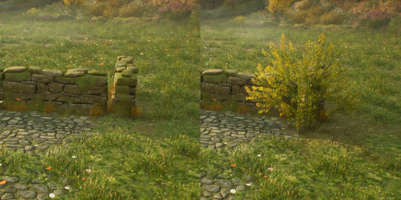 Hogwarts Legacy Use Foliage To Coverup