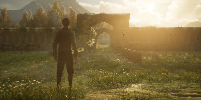 Hogwarts Legacy Vivarium Walls