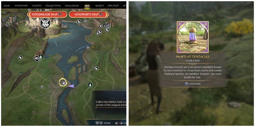 hogwarts valley field guide page 6 location in hogwarts legacy