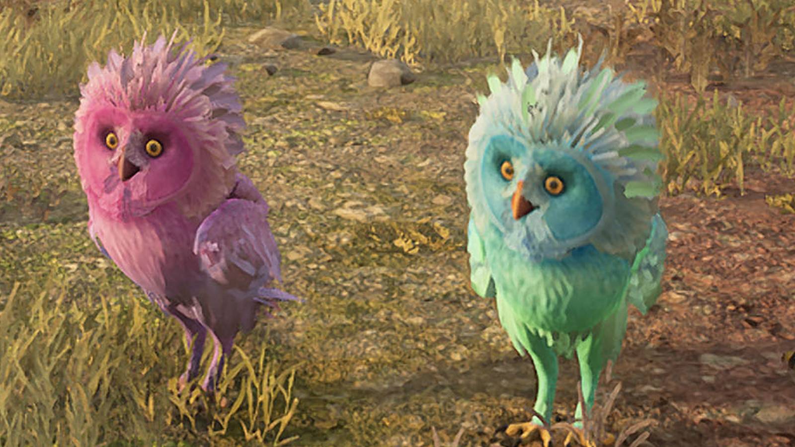 Hogwarts Legacy pink and green Fwoopers