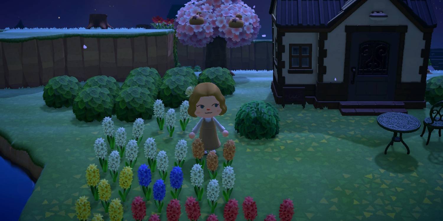 The player character is standing in a small field of flowers that is in front of a villager's house