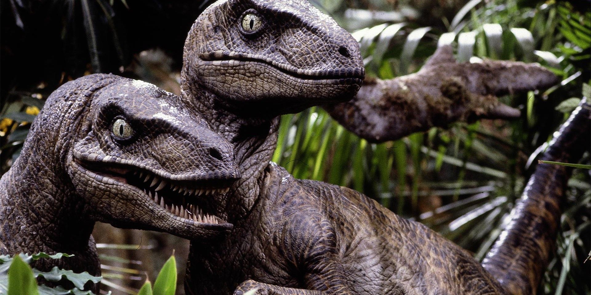 Two Velociraptors in the jungle in Jurassic Park (1993)