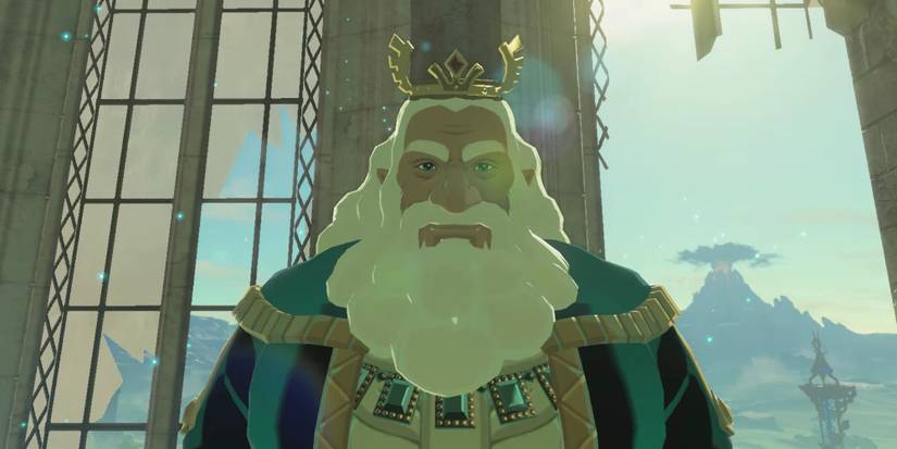 King Rhoam Breath of the Wild