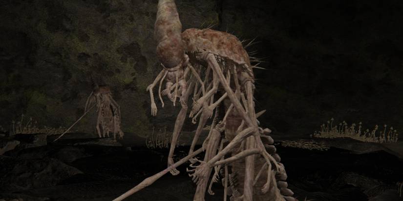 kinred of rot in elden ring