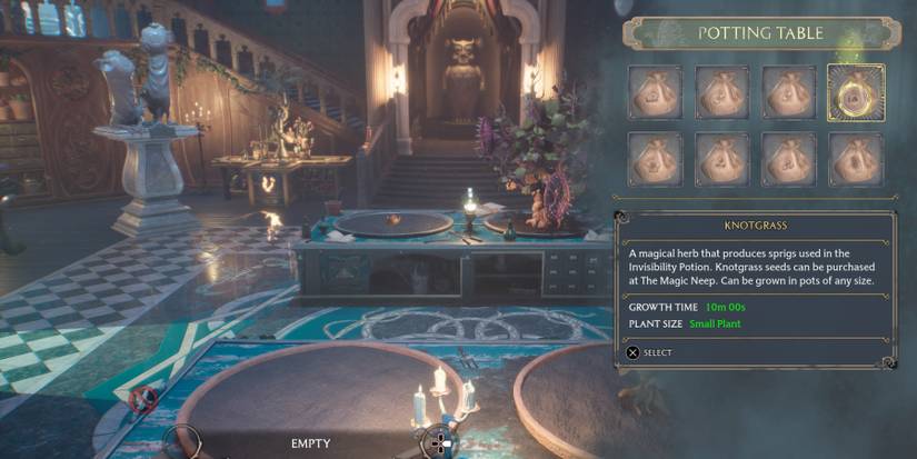 Growing Knotgrass Sprigs in Hogwarts Legacy