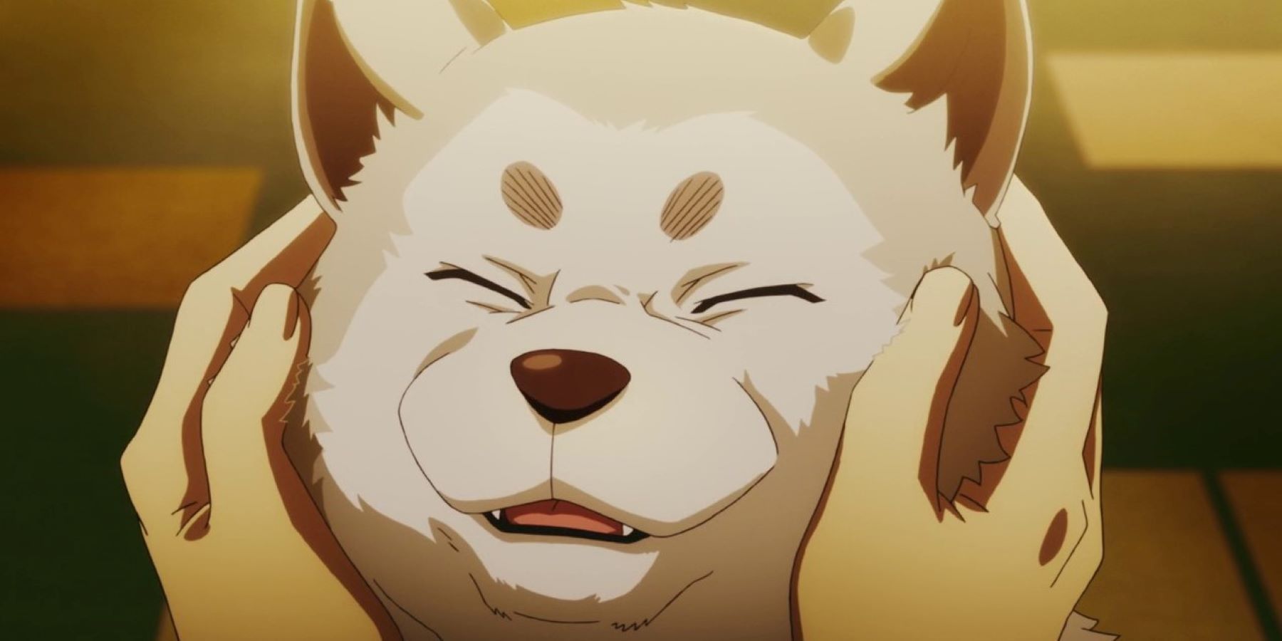 Cảnh anime Persona 3 với cảnh Koromaru nhận thú cưng