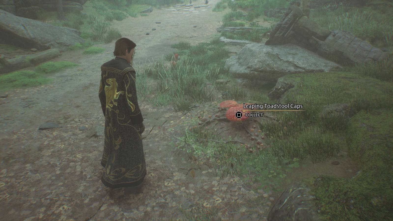 Finding Leaping Toadstool Caps in Hogwarts Legacy