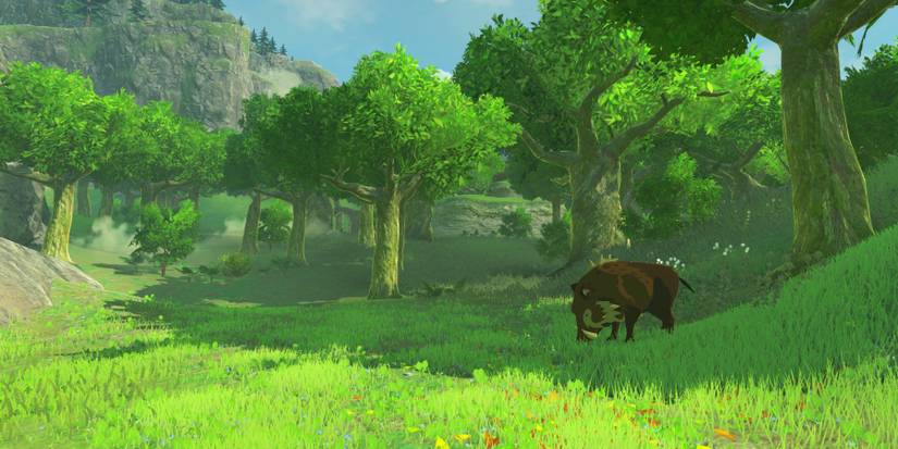 legend of zelda botw boar in field