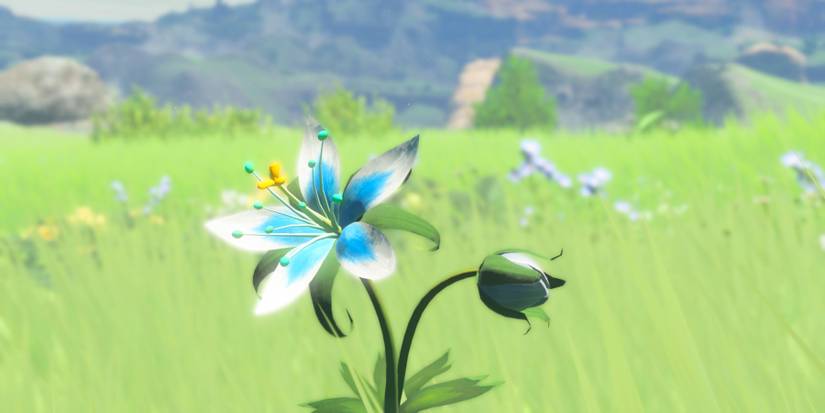 legend of zelda botw complete guide