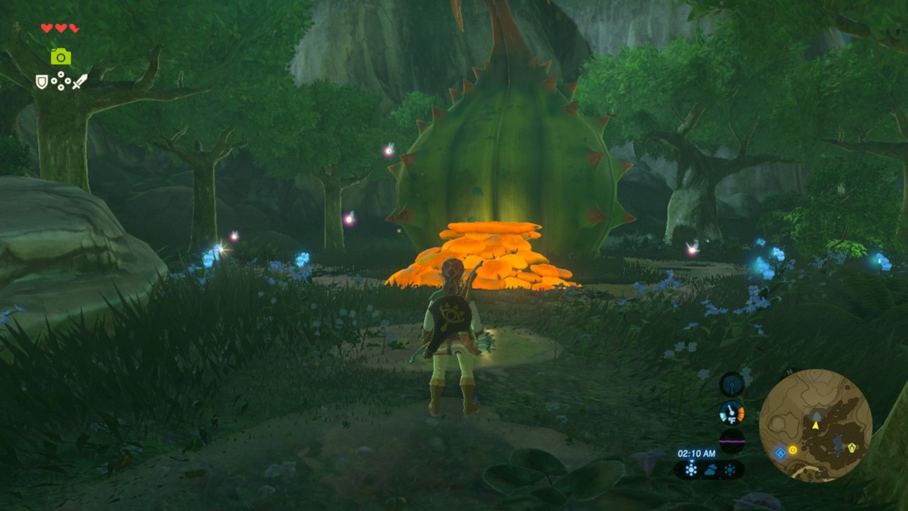 Zelda: Breath of the Wild - Locked Mementos & Find the Fairy Fountain  Walkthrough