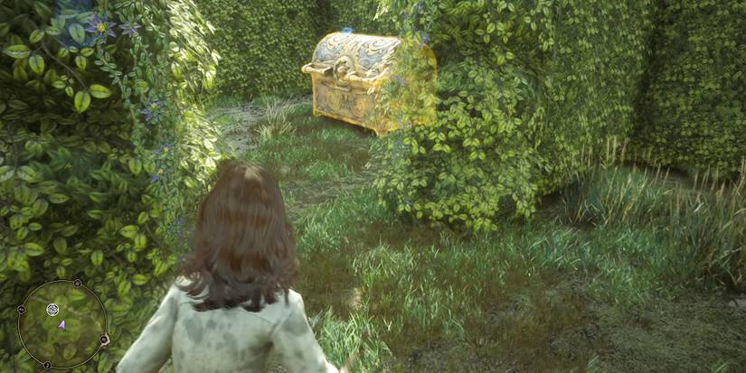 legendary chest inside the maze in hogwarts legacy