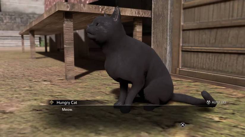 Like A Dragon Ishin_Hungry Cat
