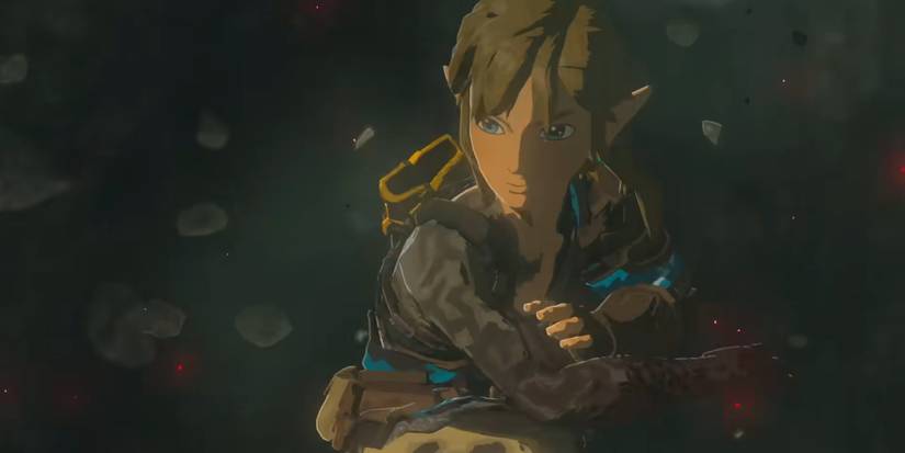 Link holding his blackened arm