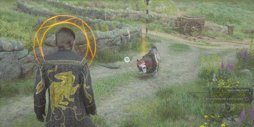Fighting a Dark Mongrel in Hogwarts Legacy