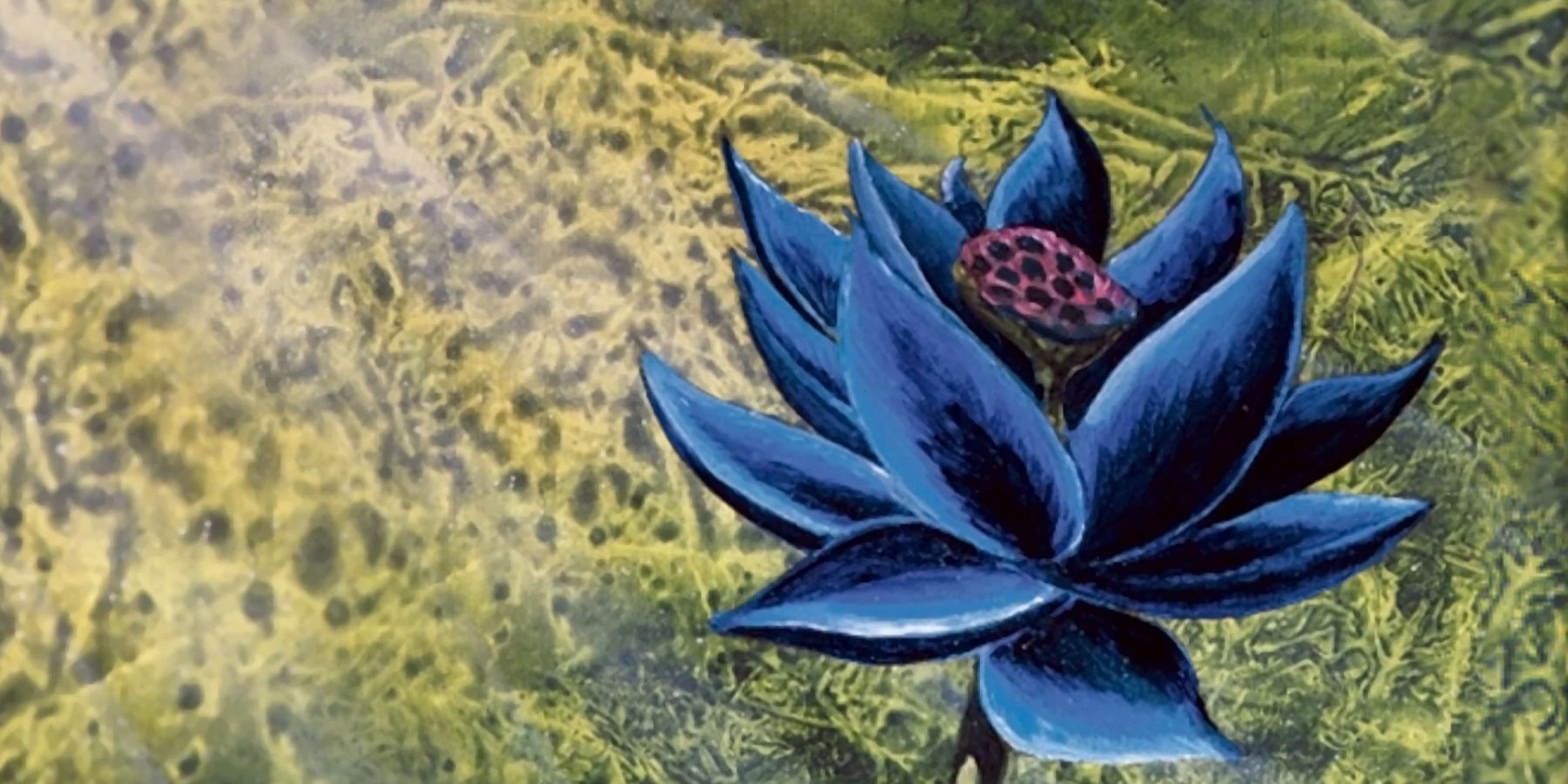 Magic: The Gathering Player Sells Black Lotus to Card Shop