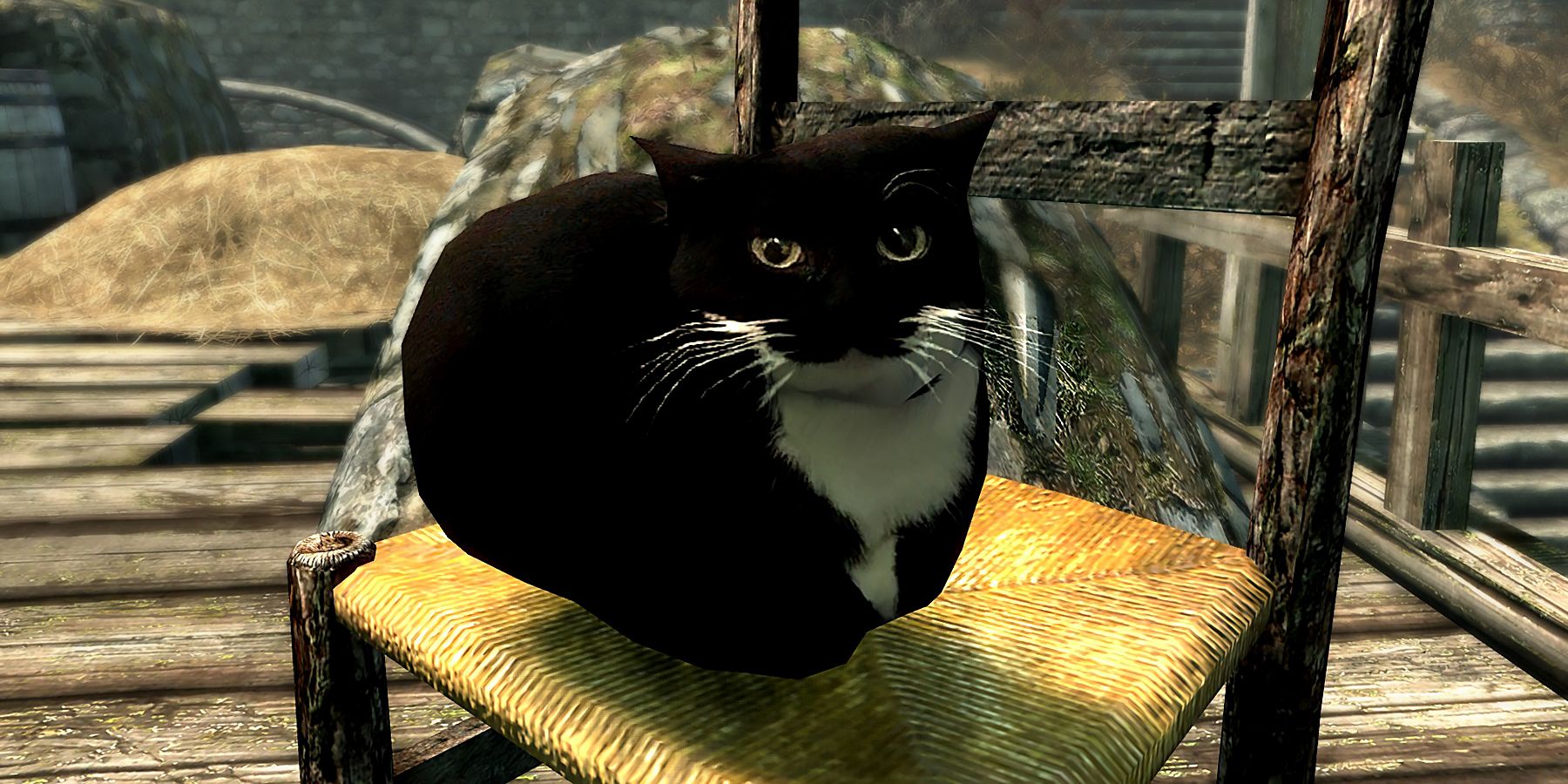Skyrim Mod Adds Maxwell the Cat to the Game
