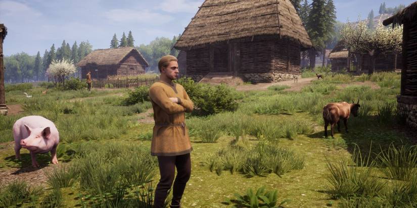 Medieval Dynasty Chickens Guide (2)