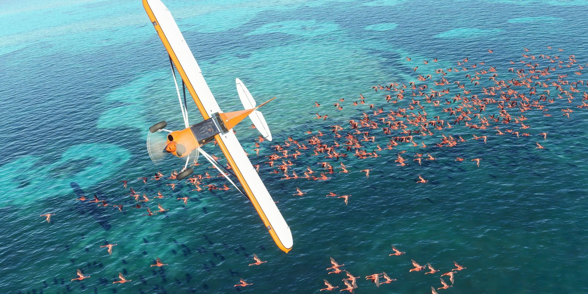 A plane flying over an ocean as birds fly underneath it in Microsoft Flight Simulator