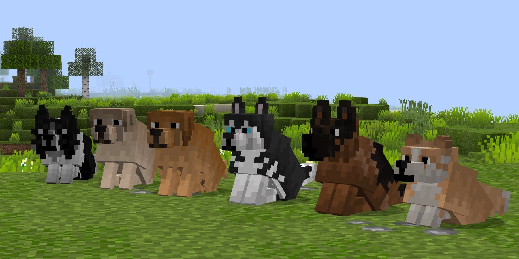 minecraft dogs sitting