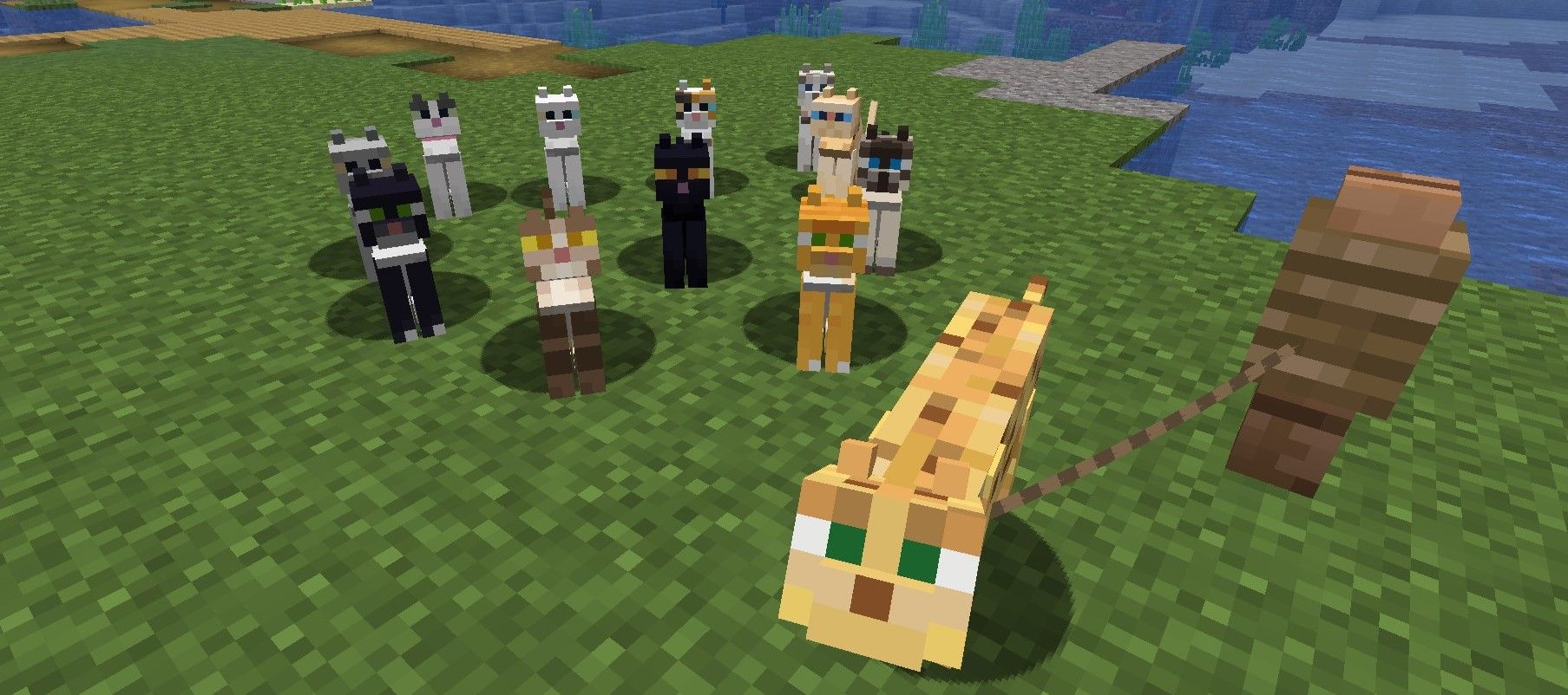 minecraft all cats and the ocelot