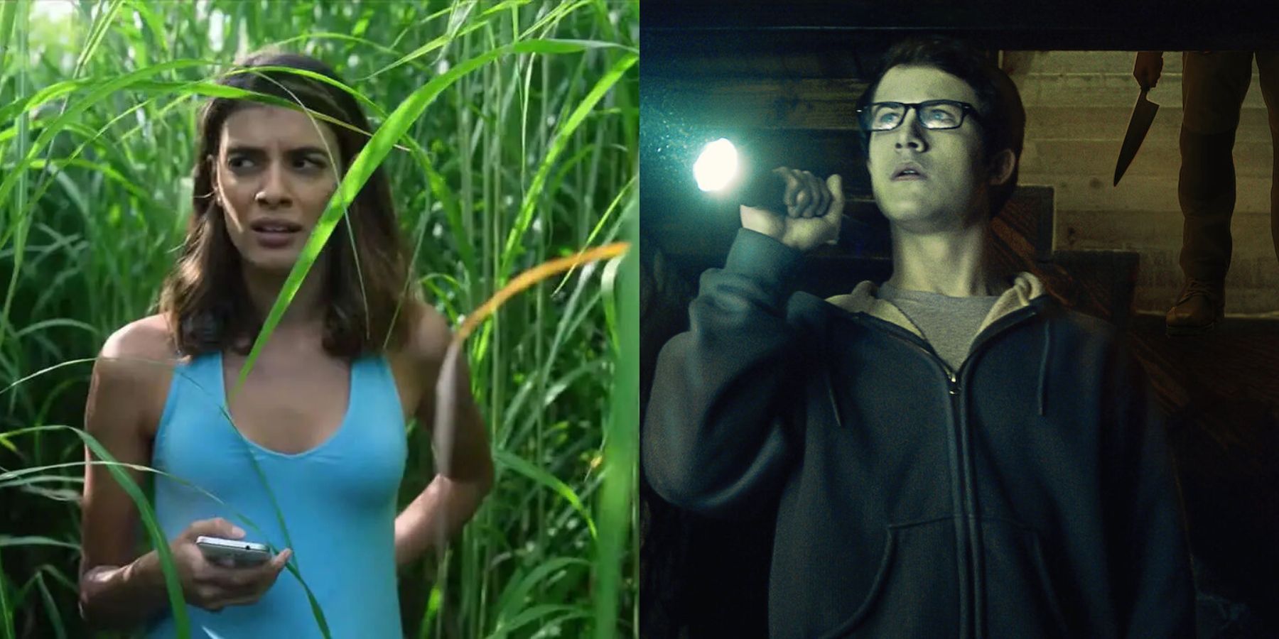 Split image of Becky in In The Tall Grass and Logan in The Open House