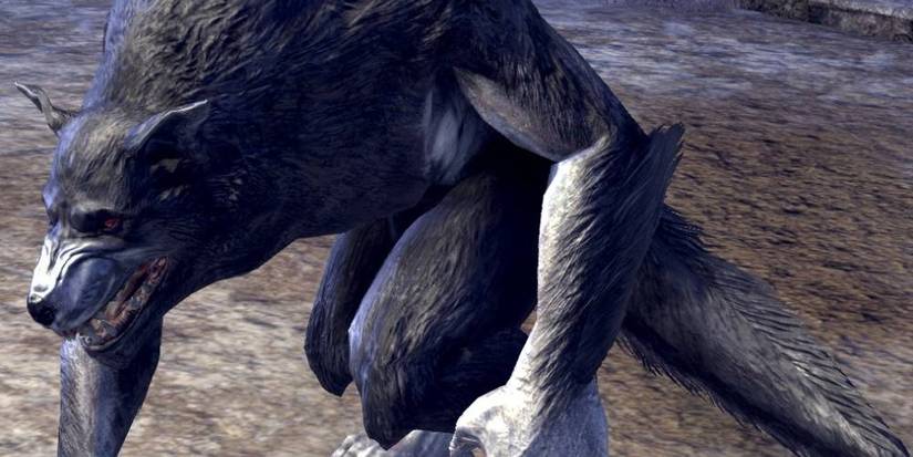 Rageclaw ESO World Boss