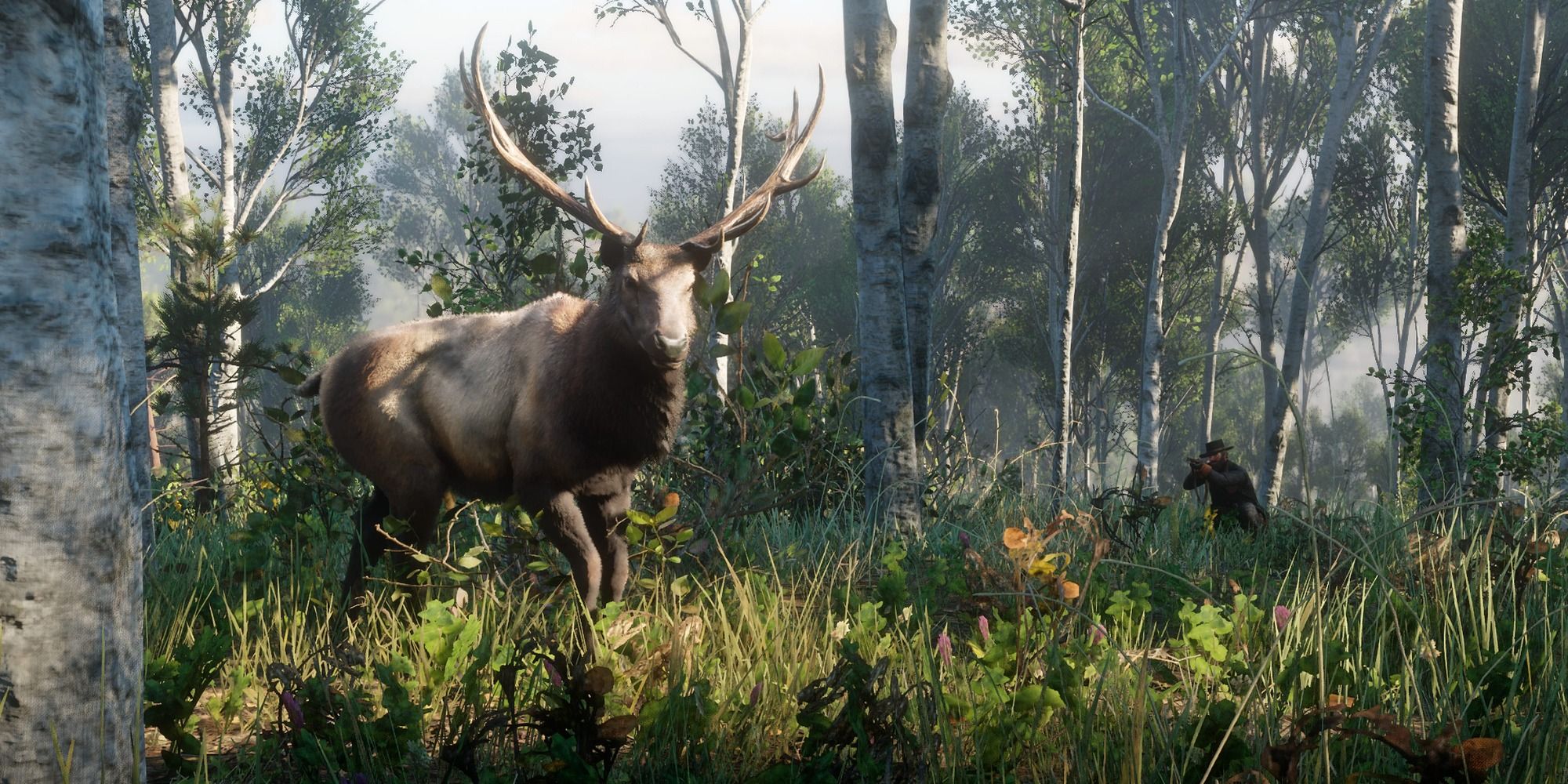 Red Dead Redemption 2 Animals