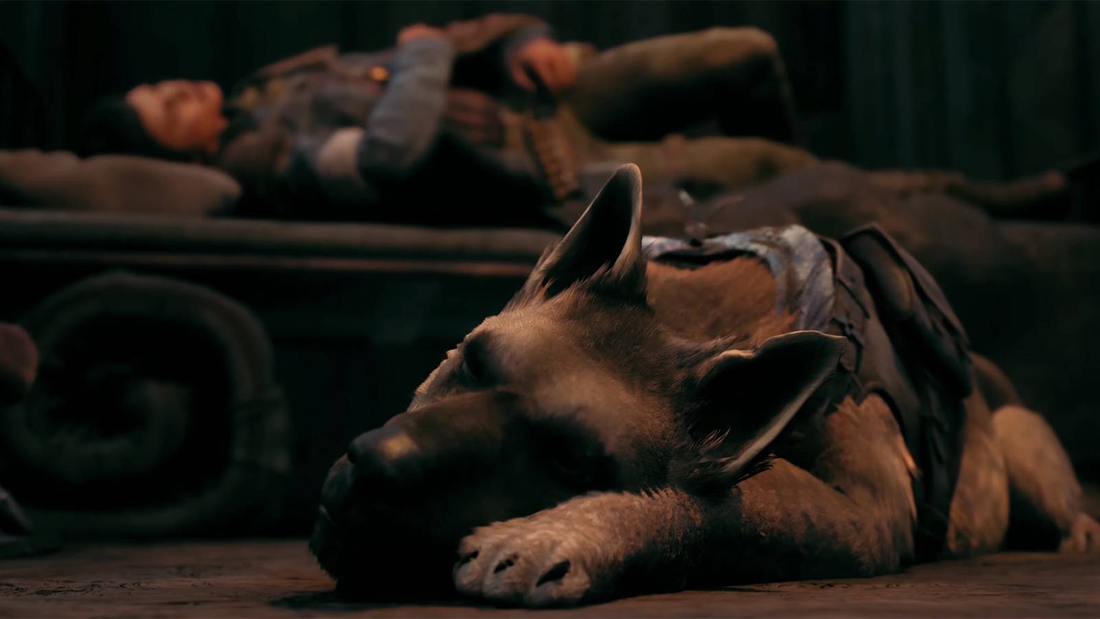 remnant 2 handler class dog companion