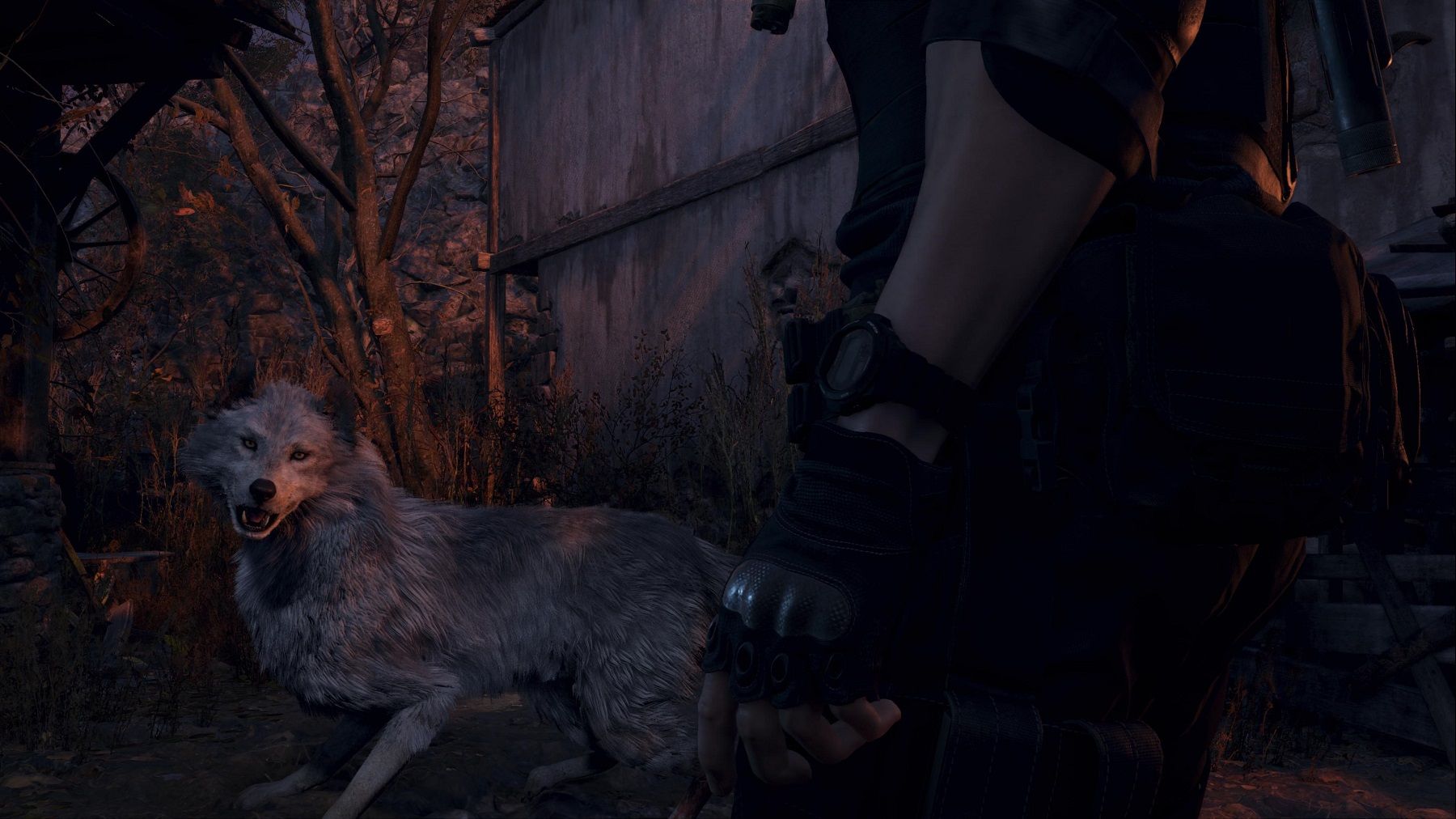 resident evil 4 remake save dog-1