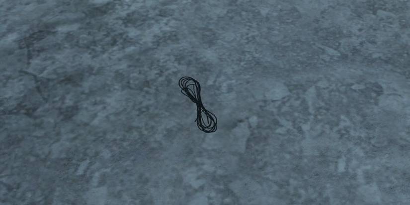 DayZ Rope
