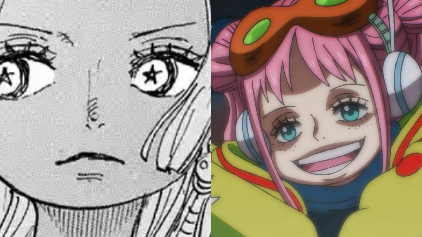 S-Snake york vegapunk one piece