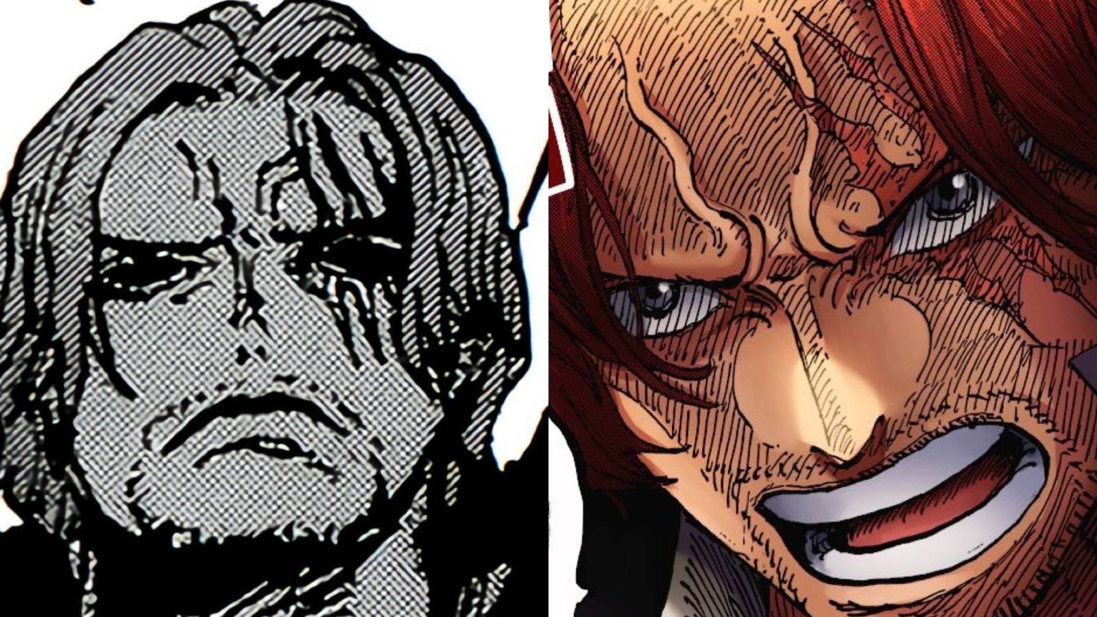 Shanks one piece (1)