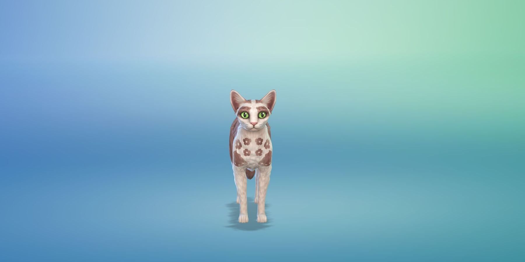 Sims 4 Player Accidentally Hires Cat As a Wedding Musician