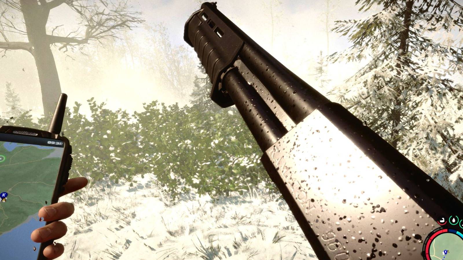 Sons of The Forest Shotgun