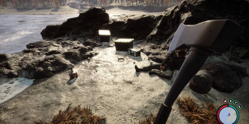 Sons of The Forest Containers