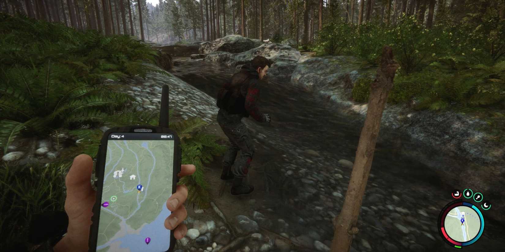 Sons of The Forest River