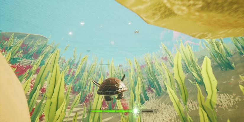 Soul Jumping as a sea turtle in Tchia