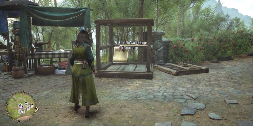 south hogwarts region field guide page in hogwarts legacy