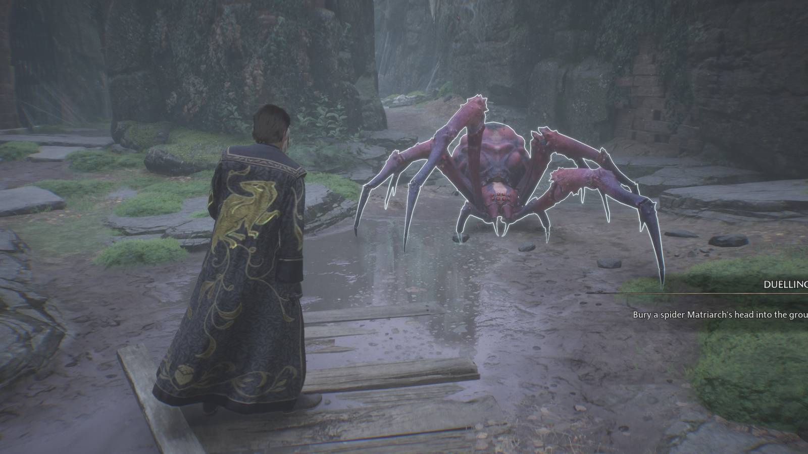 Facing a Matriarch spider in Hogwarts Legacy