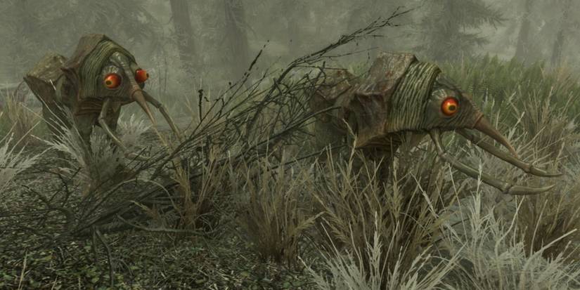 Skyrim two nix-hounds