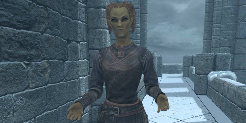 Skyrim Faralda on College of Winterhold bridge