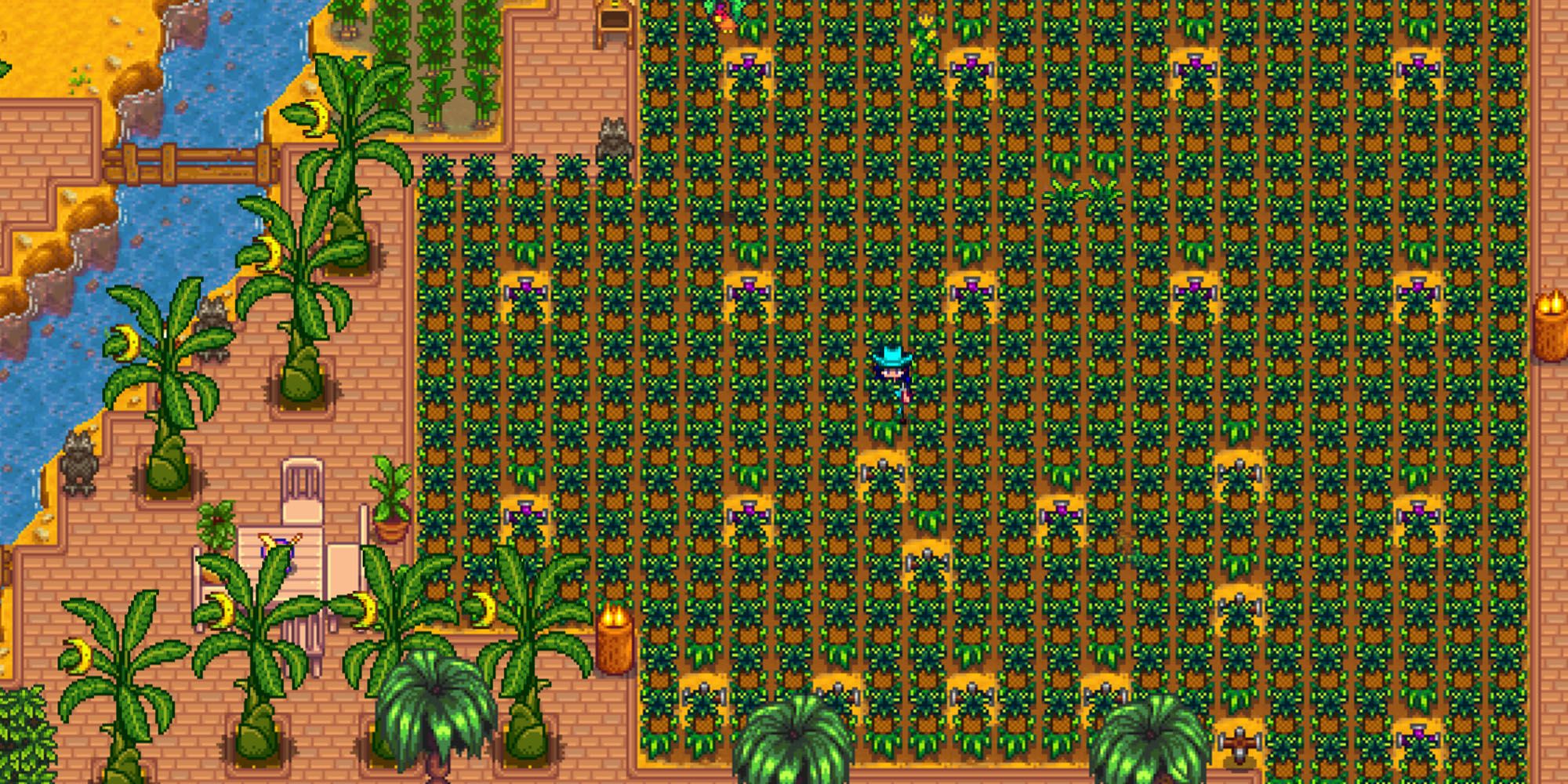 Stardew Valley: The Best Crops To Make Money