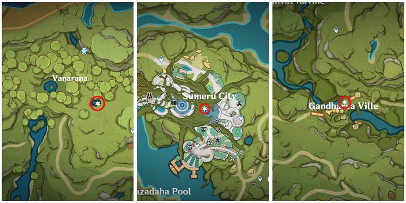 sumeru local specialties merchants locations in genshin impact