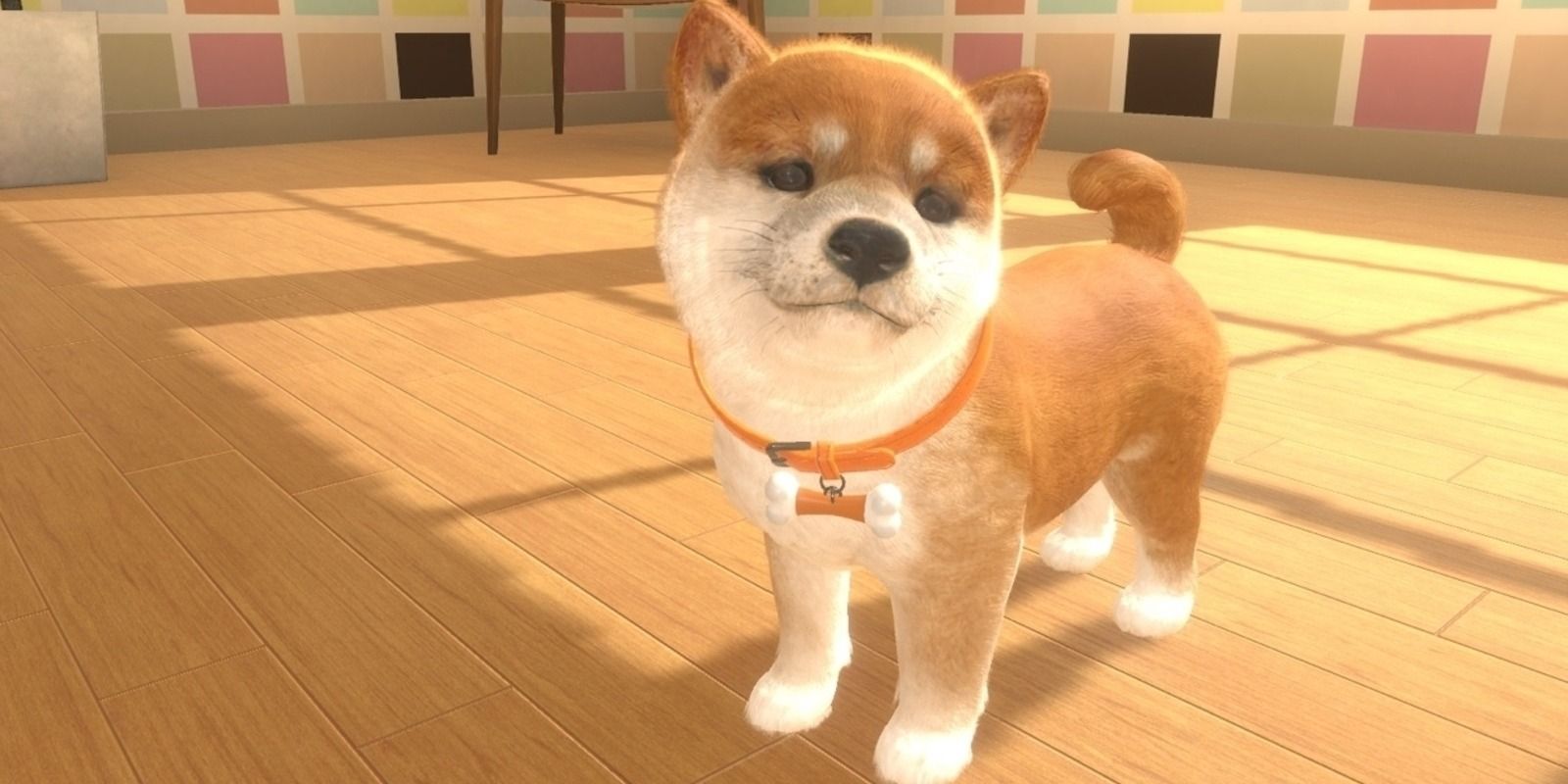 Nintendogs Gameplay