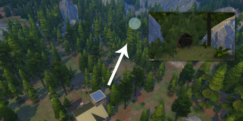 The Sims 4 Deep Woods Location